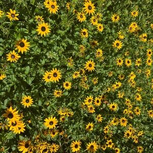 Bundle and Save!!! Offers accepted!!!